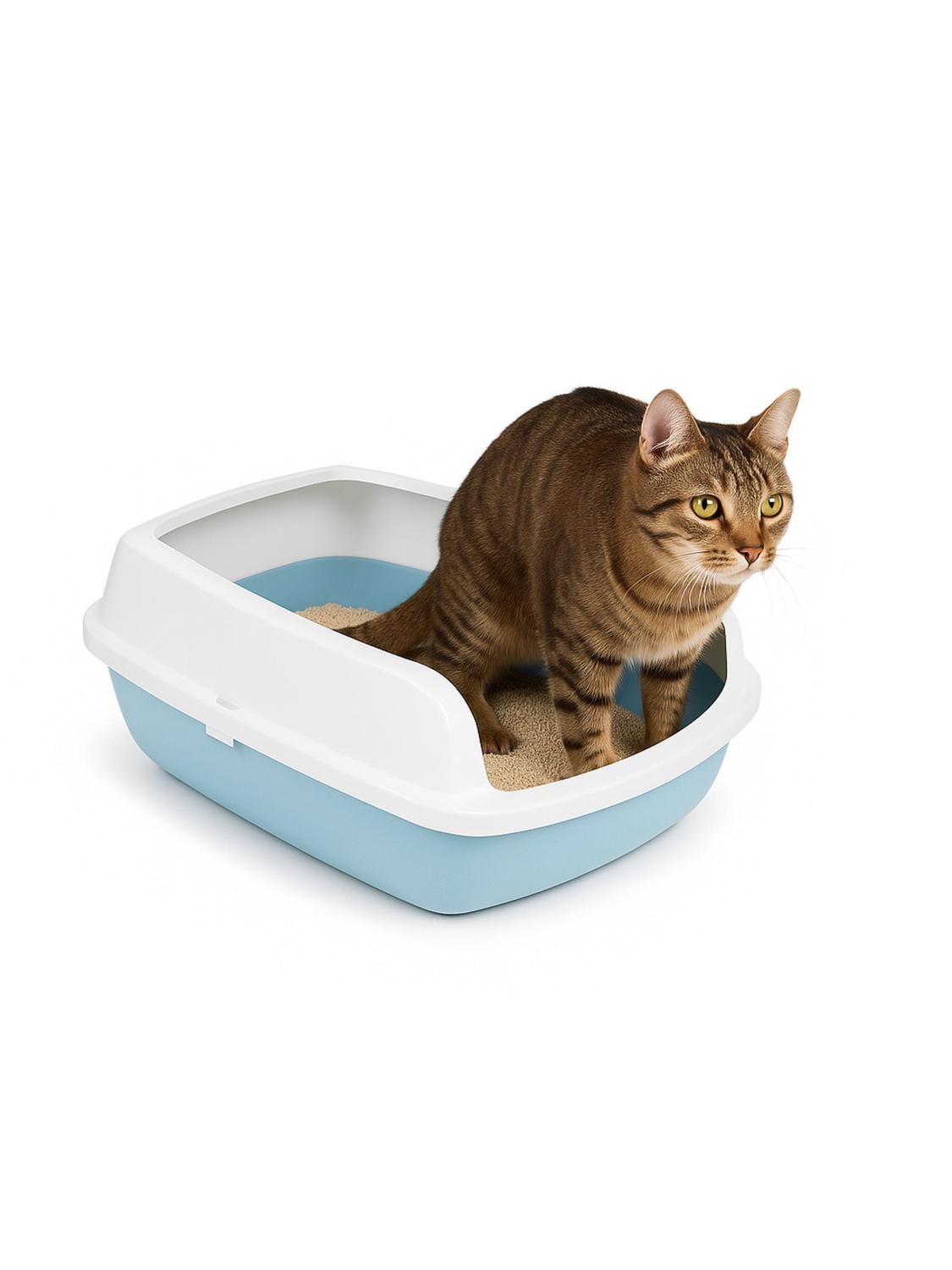 jpg_1500x1500_66947295