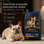 png_1500x1500_73026987