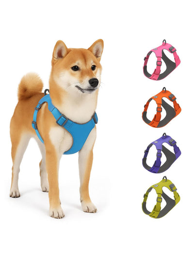 jpg_1500x1500_67366747