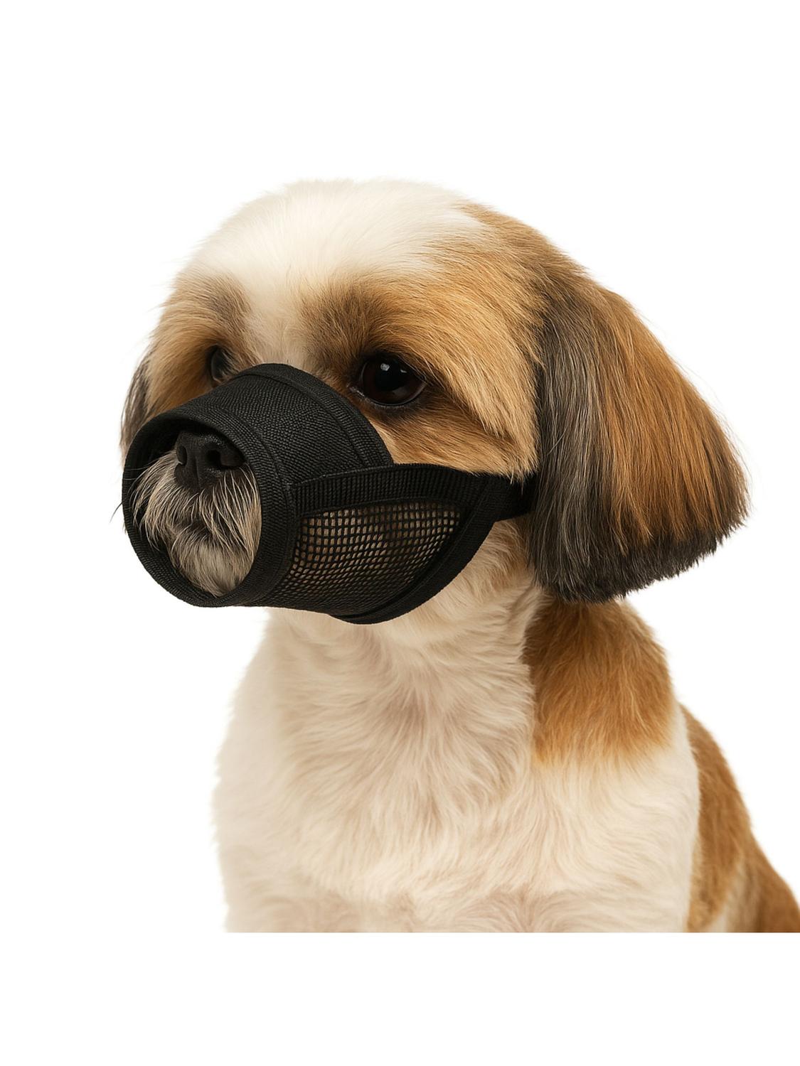 jpg_1500x1500_66903595