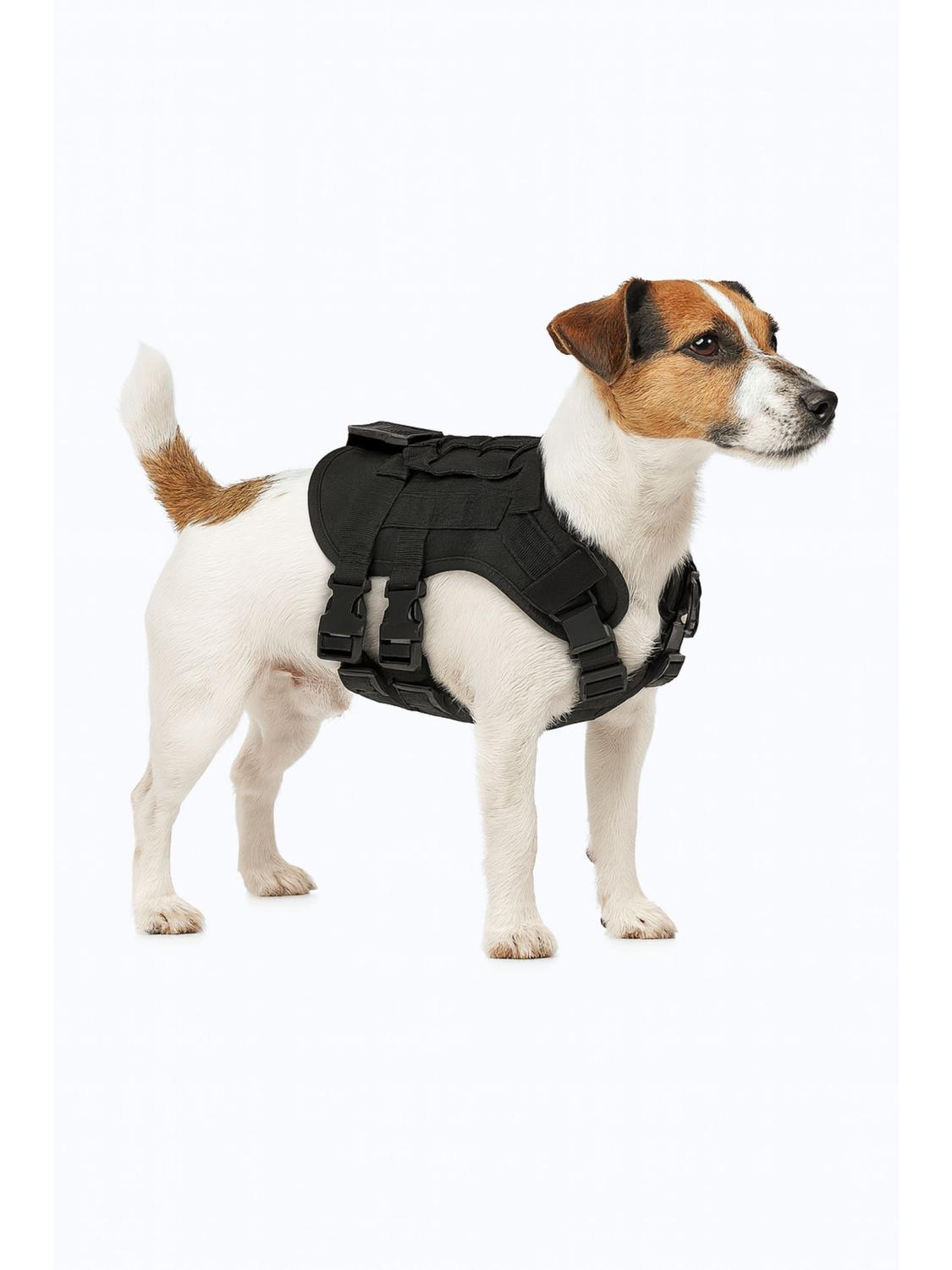 jpg_1500x1500_67052364