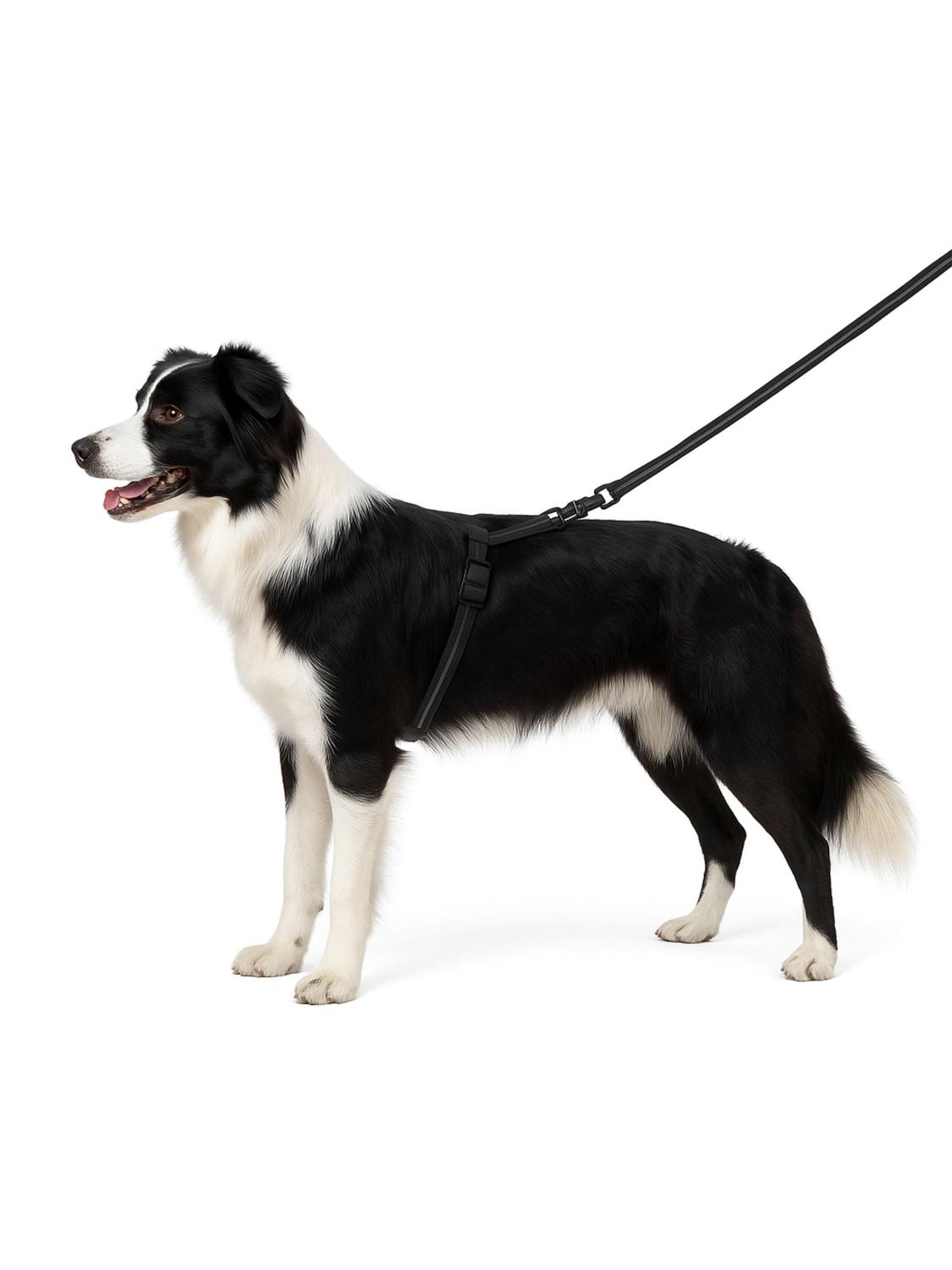 jpg_1500x1500_67128087