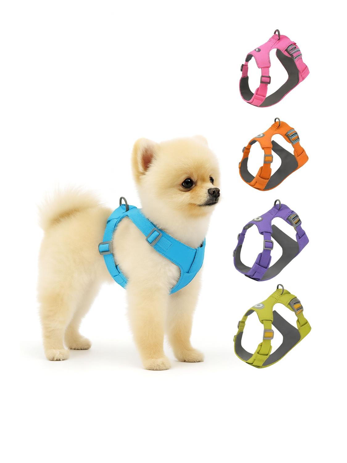 jpg_1500x1500_67366653