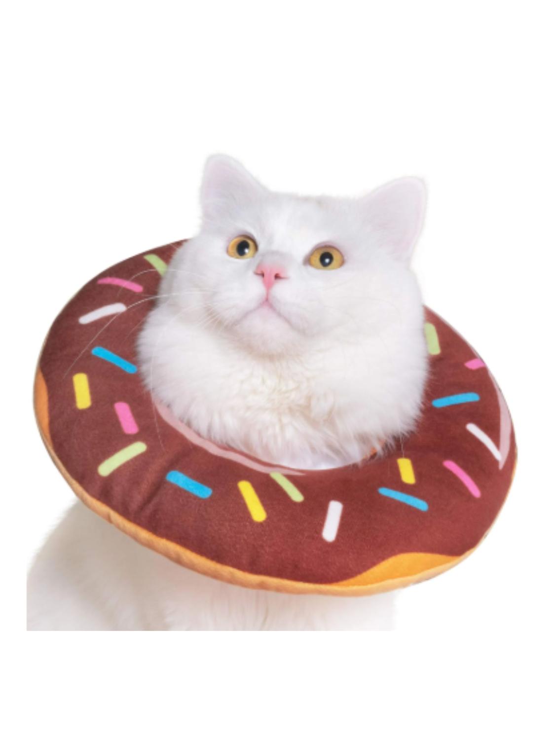 jpg_1500x1500_62872495