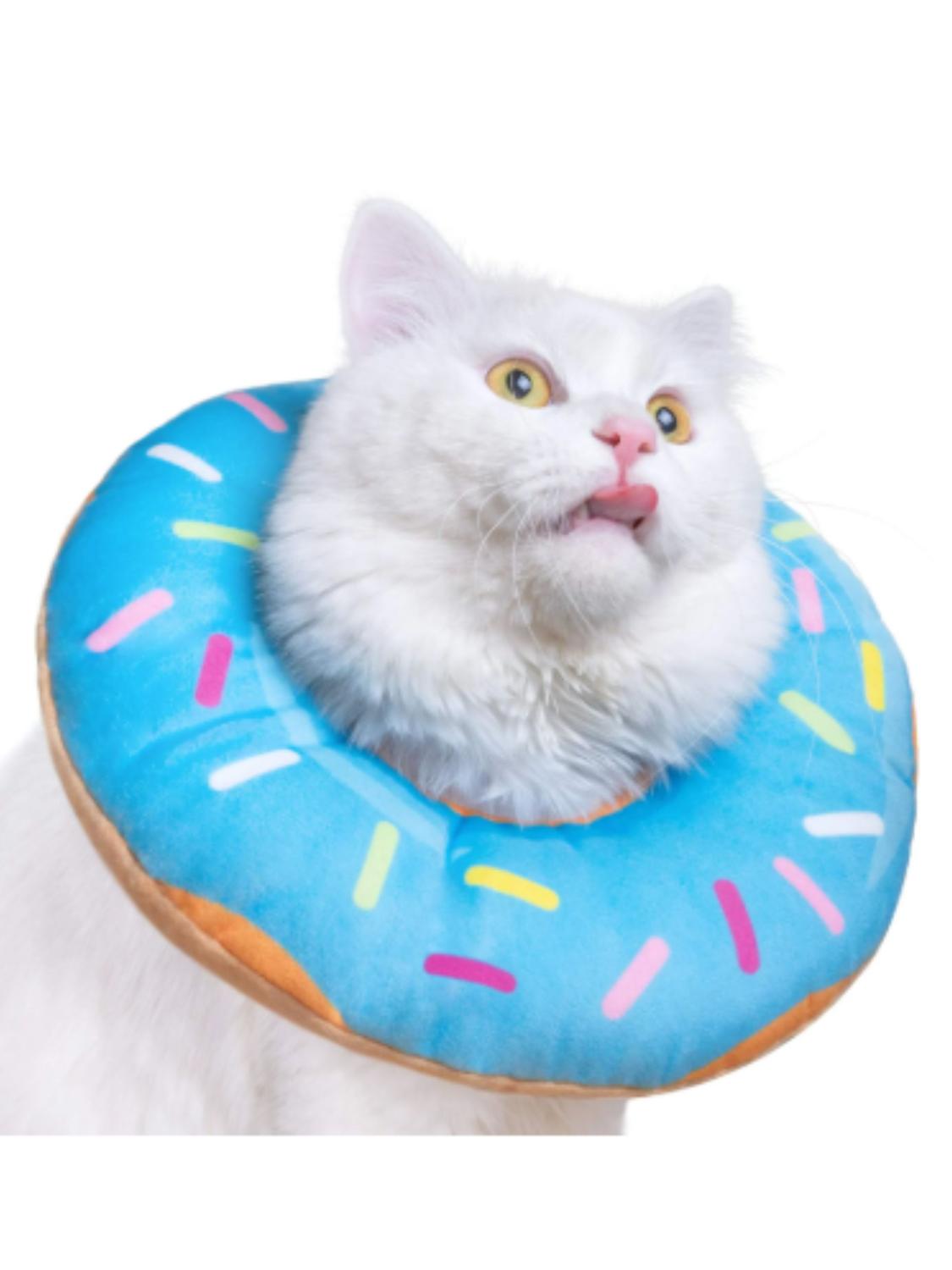 jpg_1500x1500_62872494