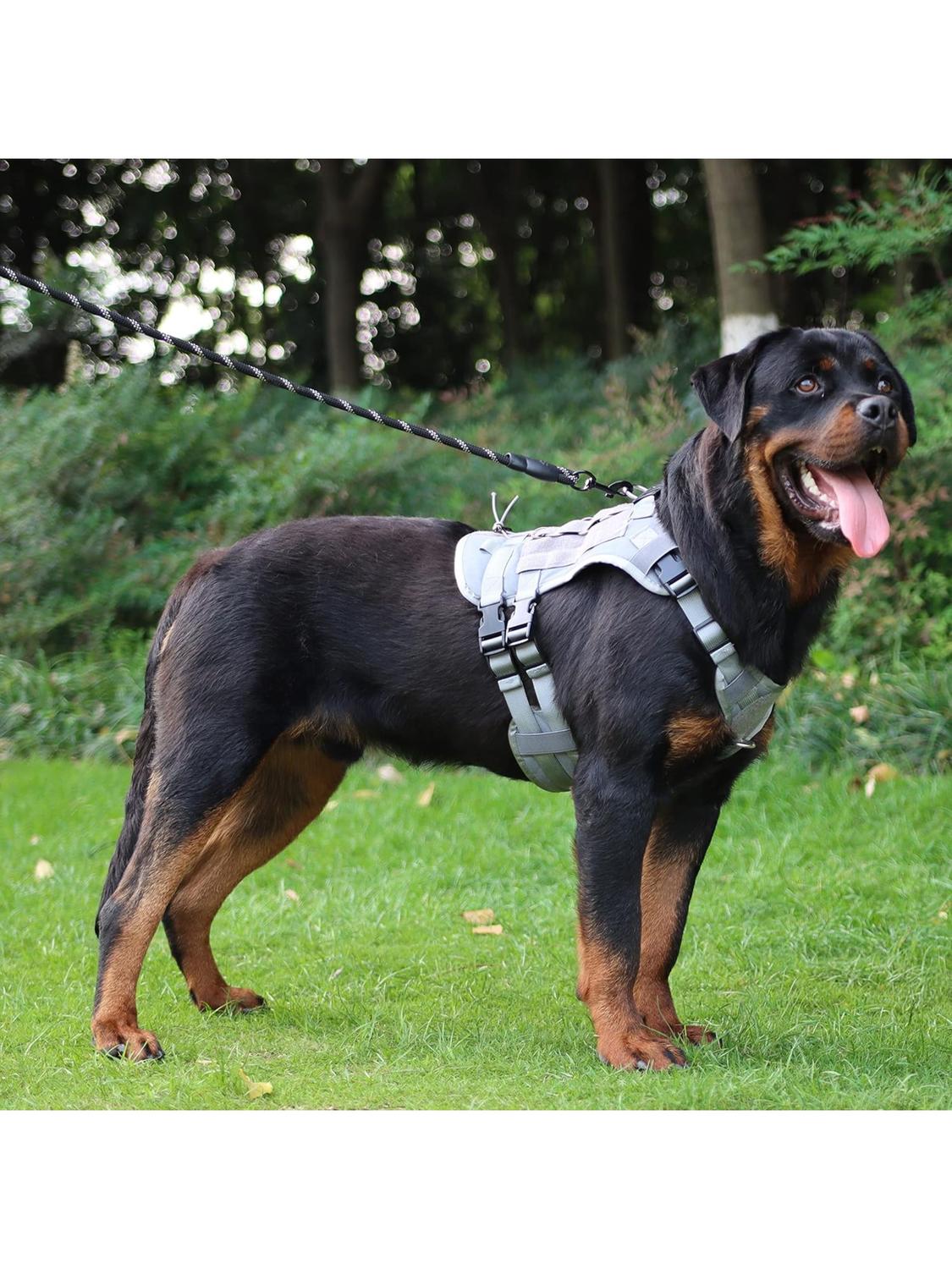 jpg_1500x1500_67052361