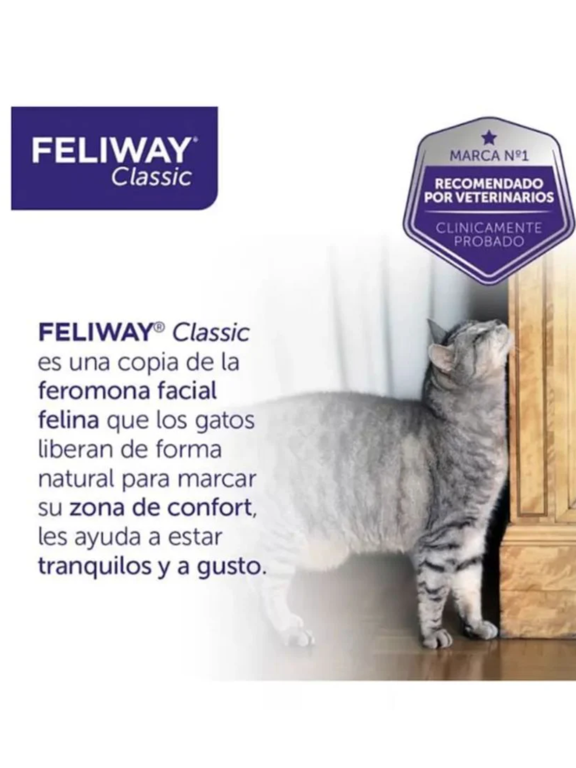 png_1500x1500_68698156