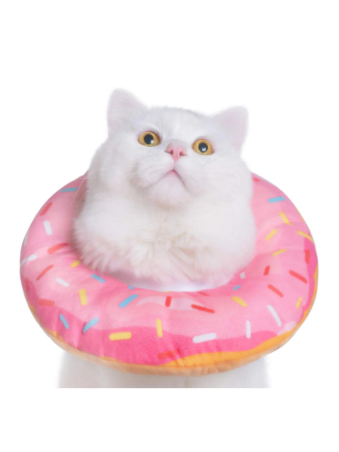 jpg_1500x1500_62872493