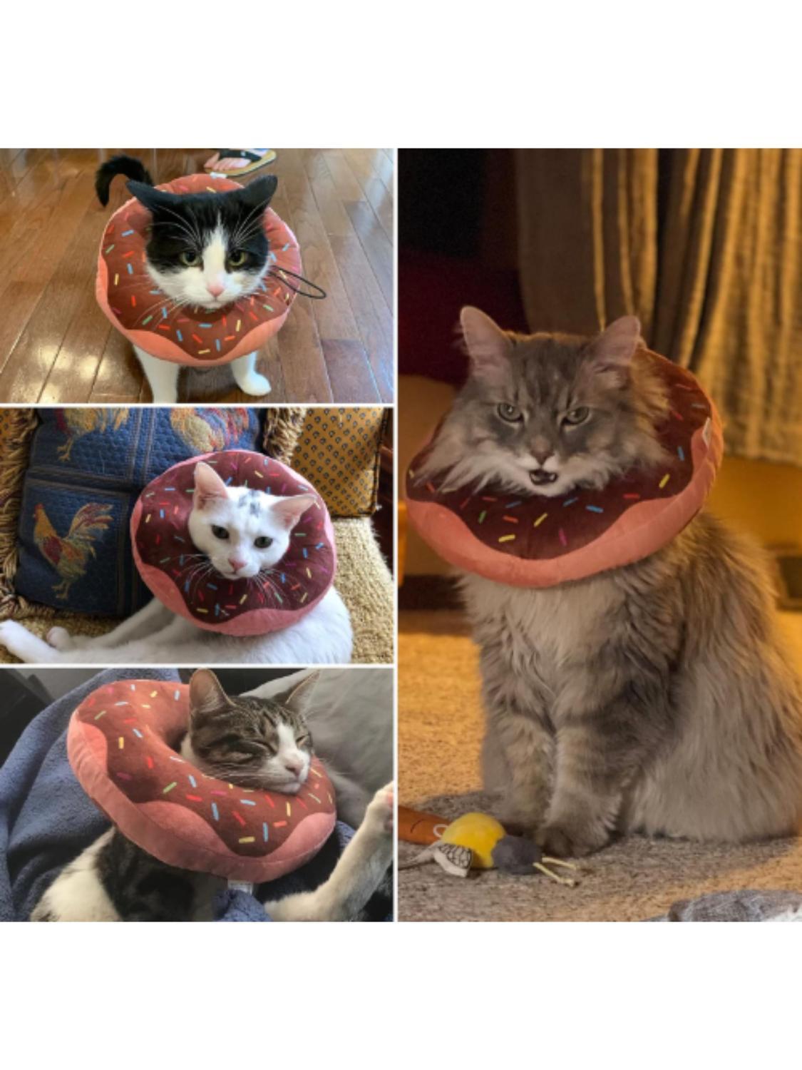 jpg_1500x1500_67743538