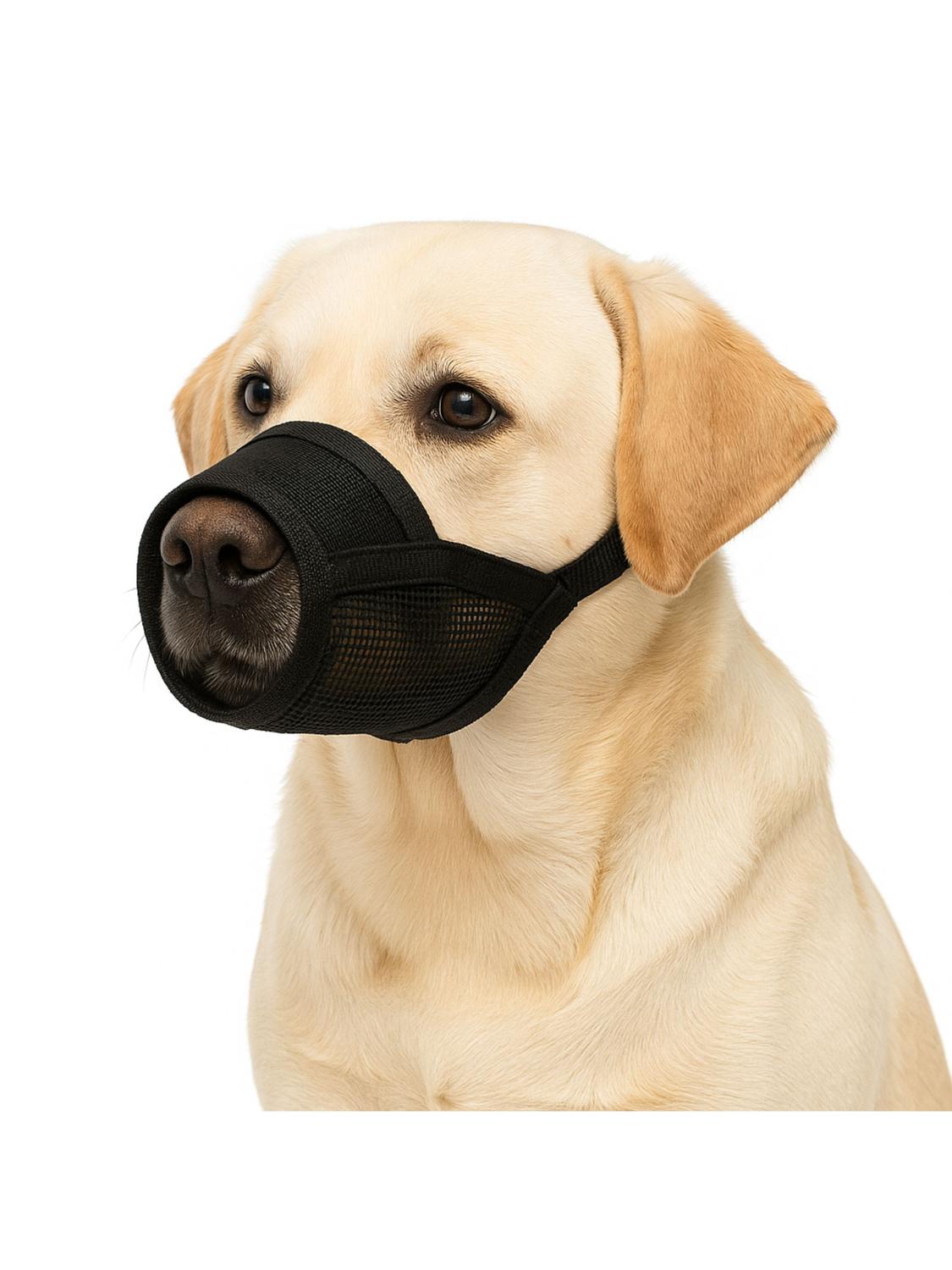 jpg_1500x1500_66903898