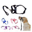 Collar cabestro de adiestramiento para perros - Talla S