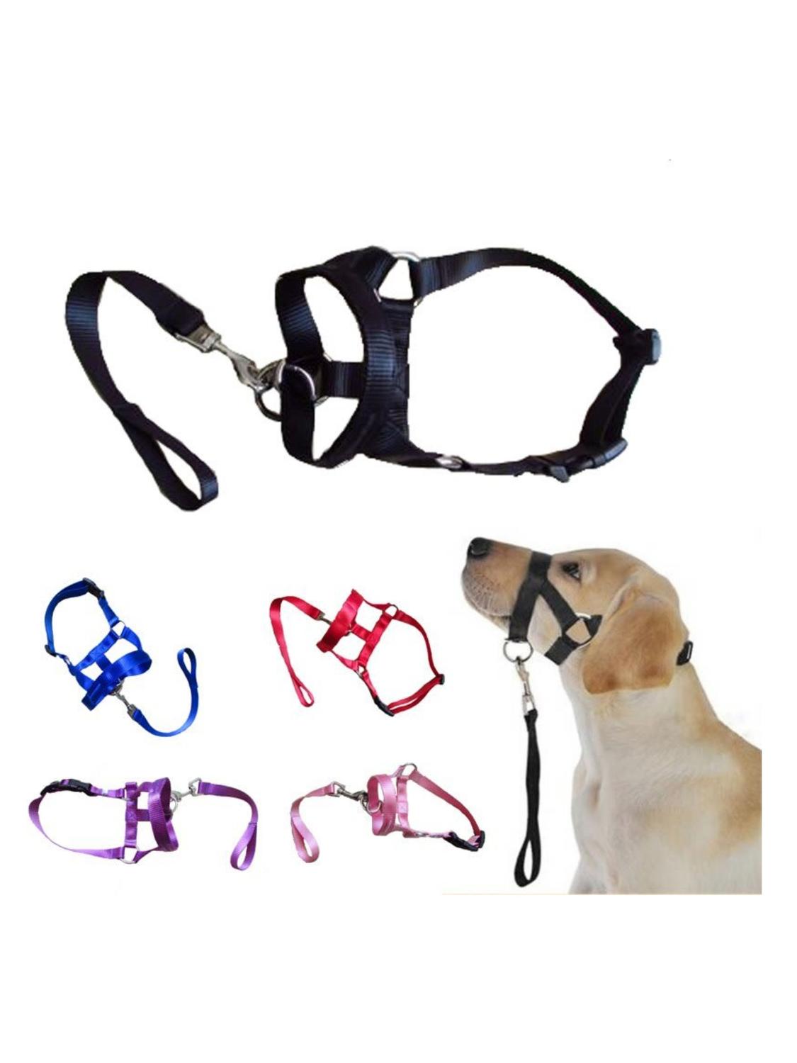 Collar cabestro de adiestramiento para perros - Talla S