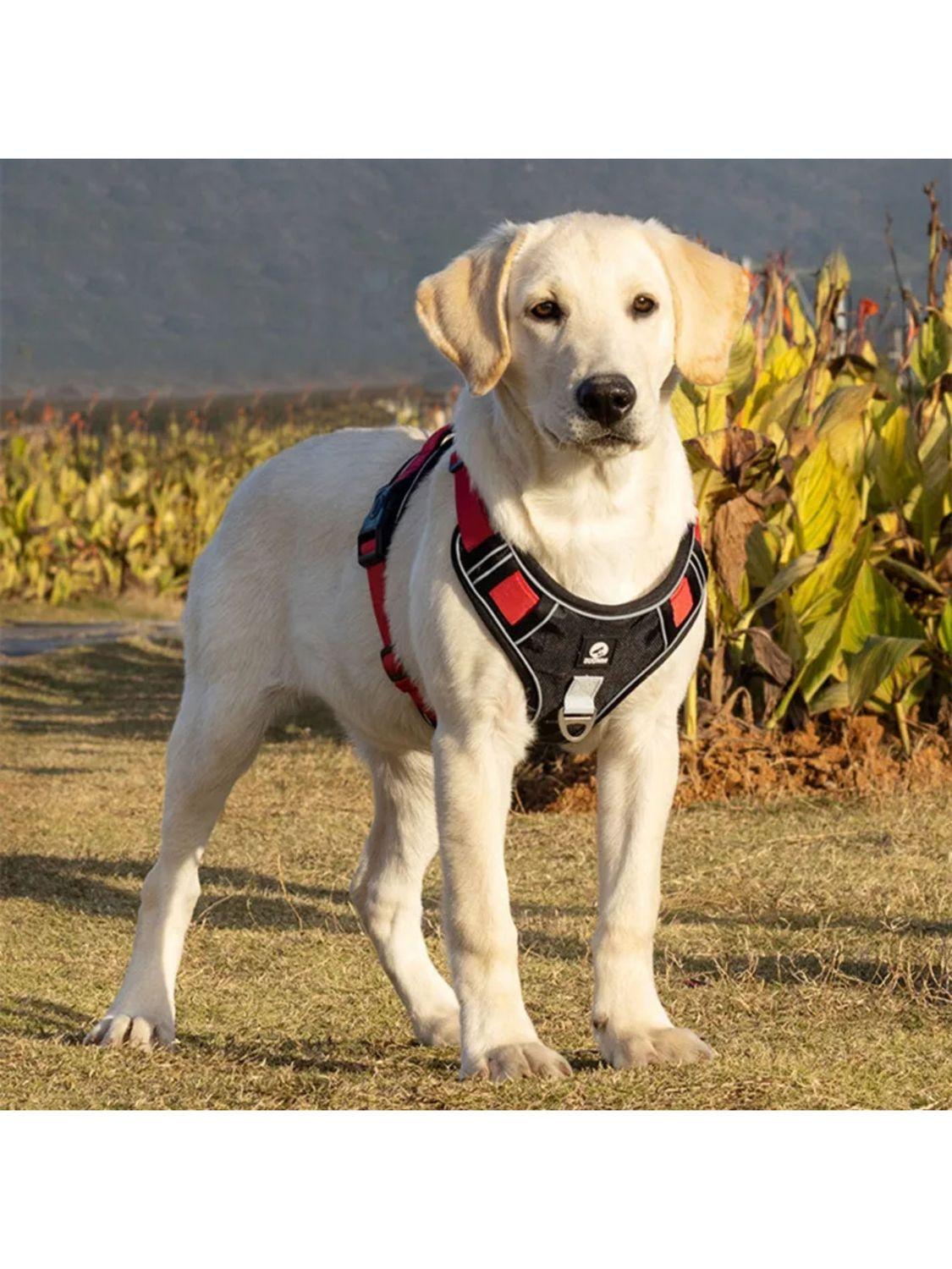 jpg_1500x1500_68652271