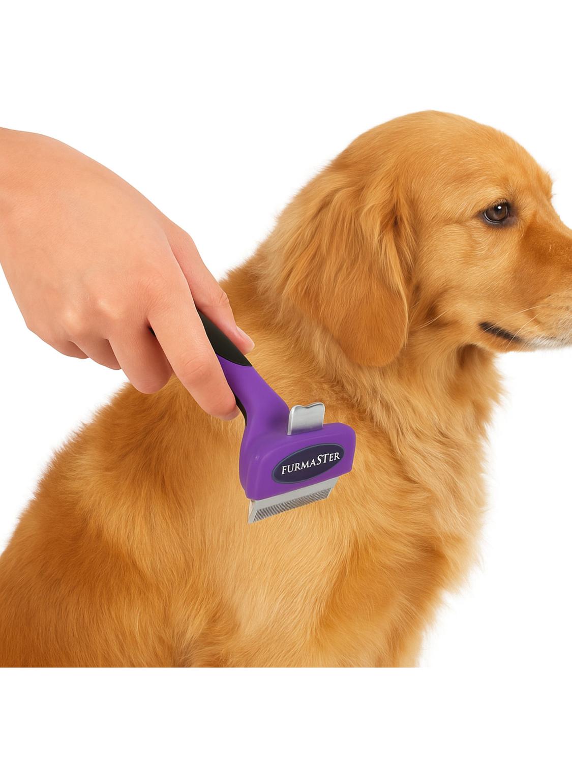 jpg_1500x1500_67747783