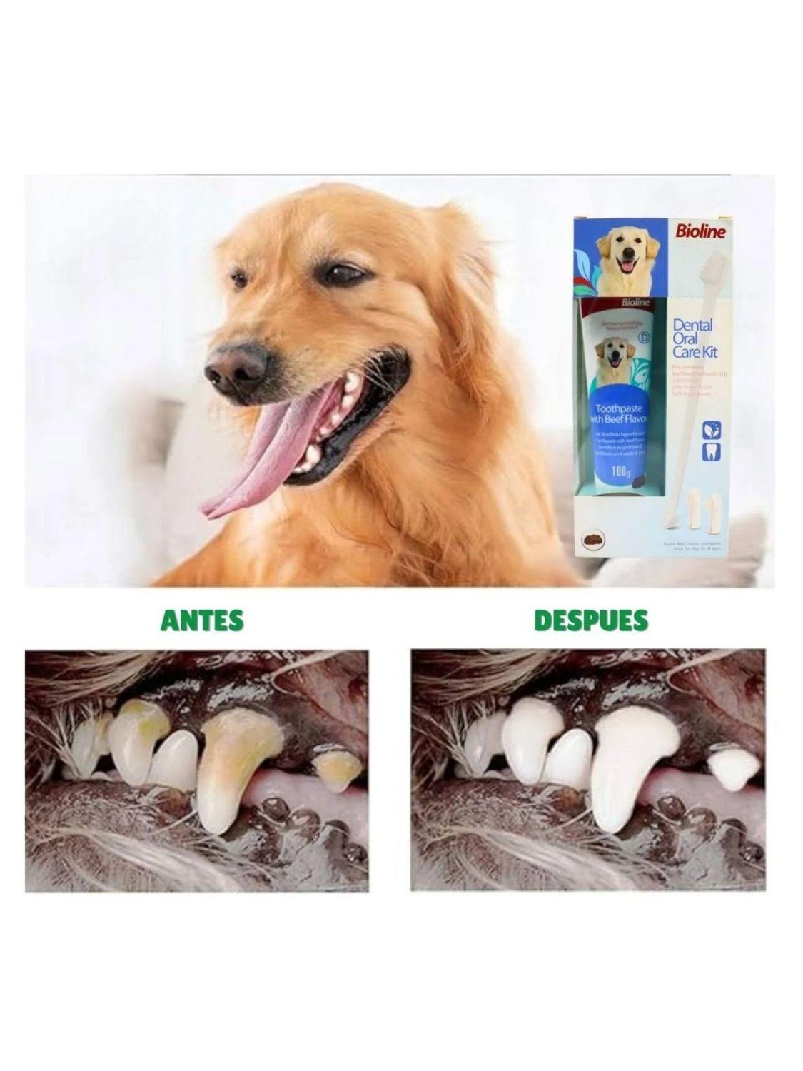 jpg_1500x1500_68671829