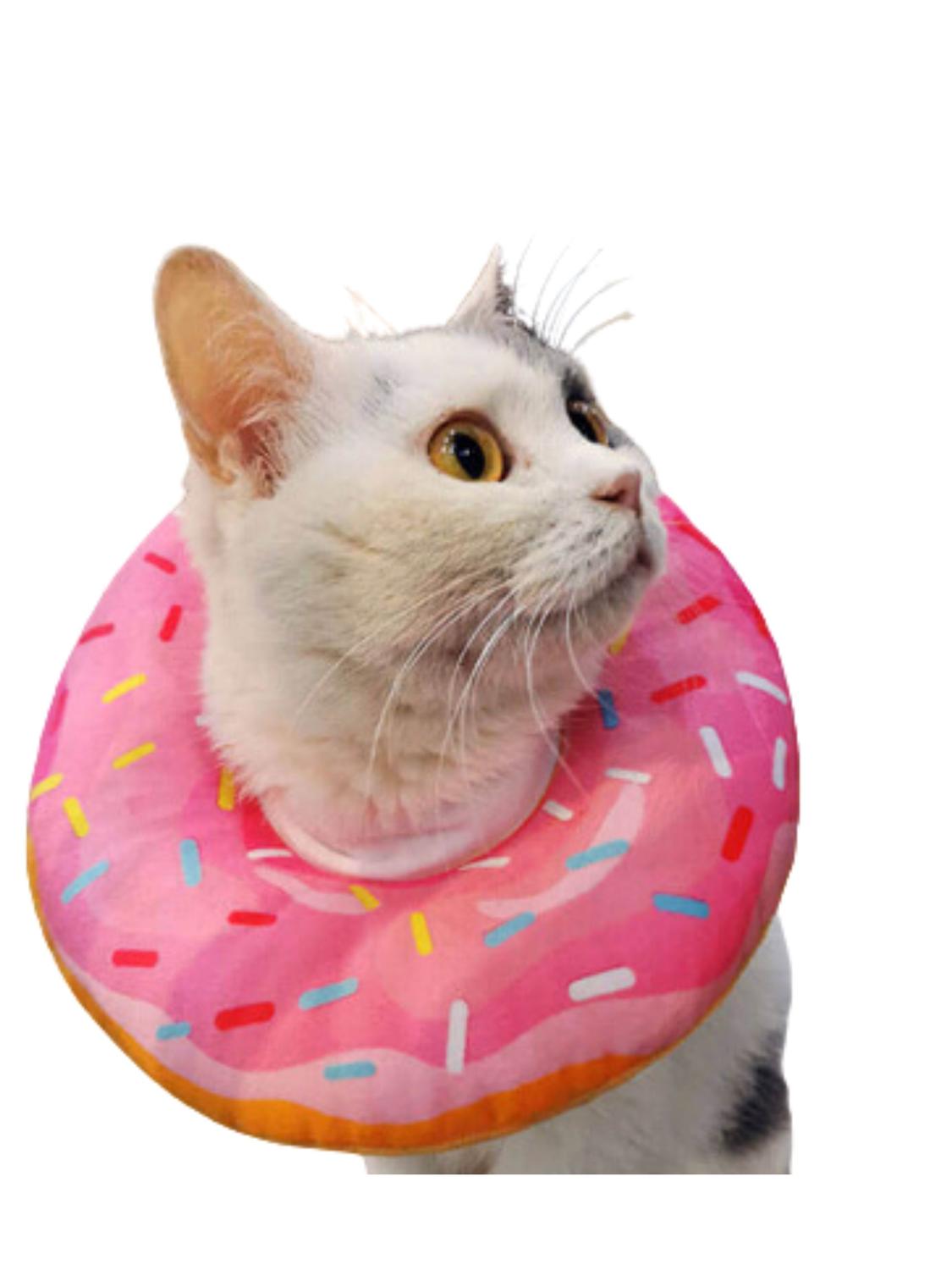 jpg_1500x1500_61869160