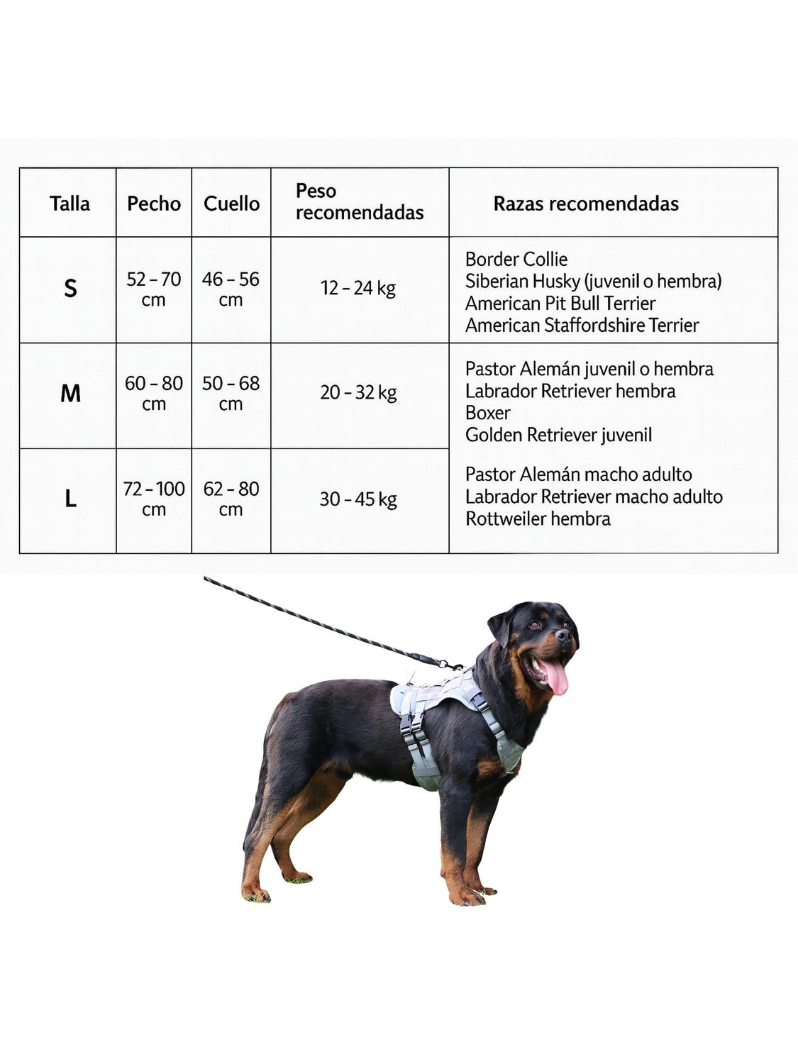 jpg_1500x1500_67052358