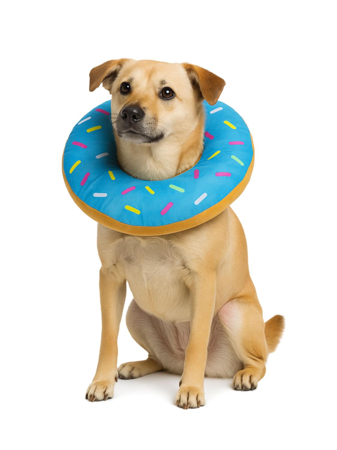 jpg_1500x1500_67744485