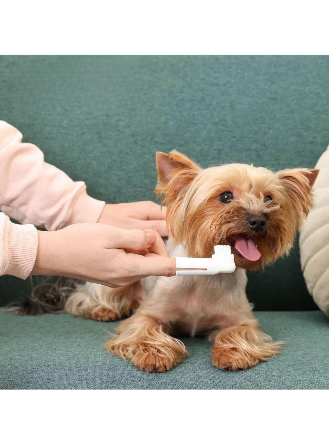 jpg_1500x1500_68671828