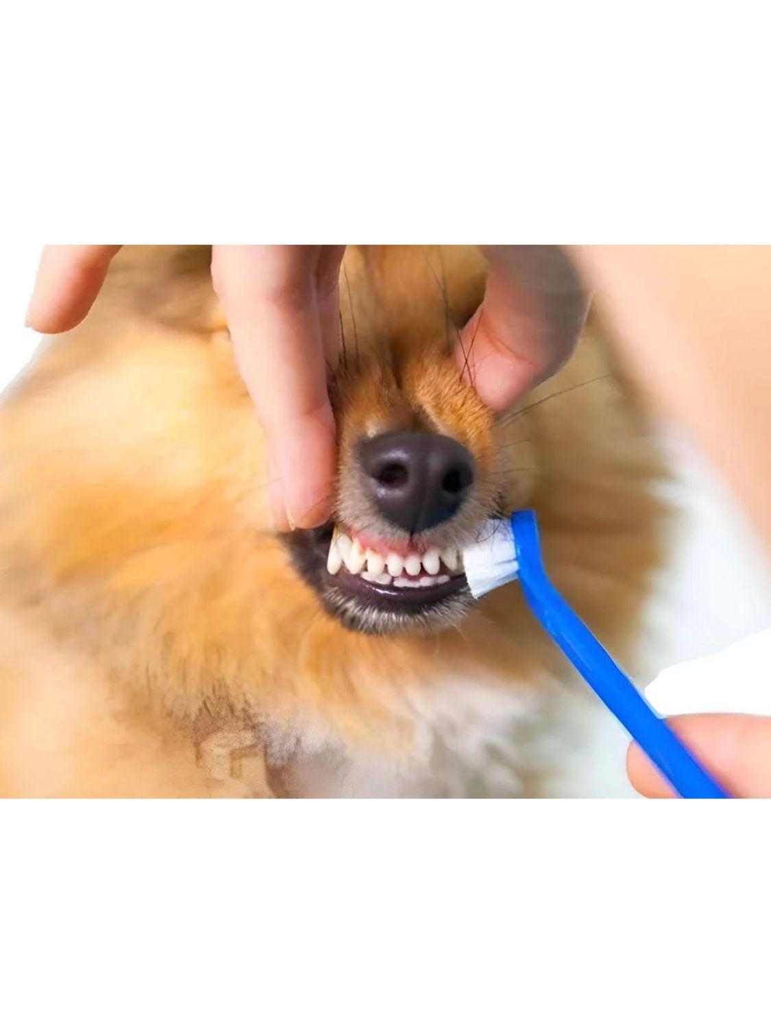 jpg_1500x1500_68671831