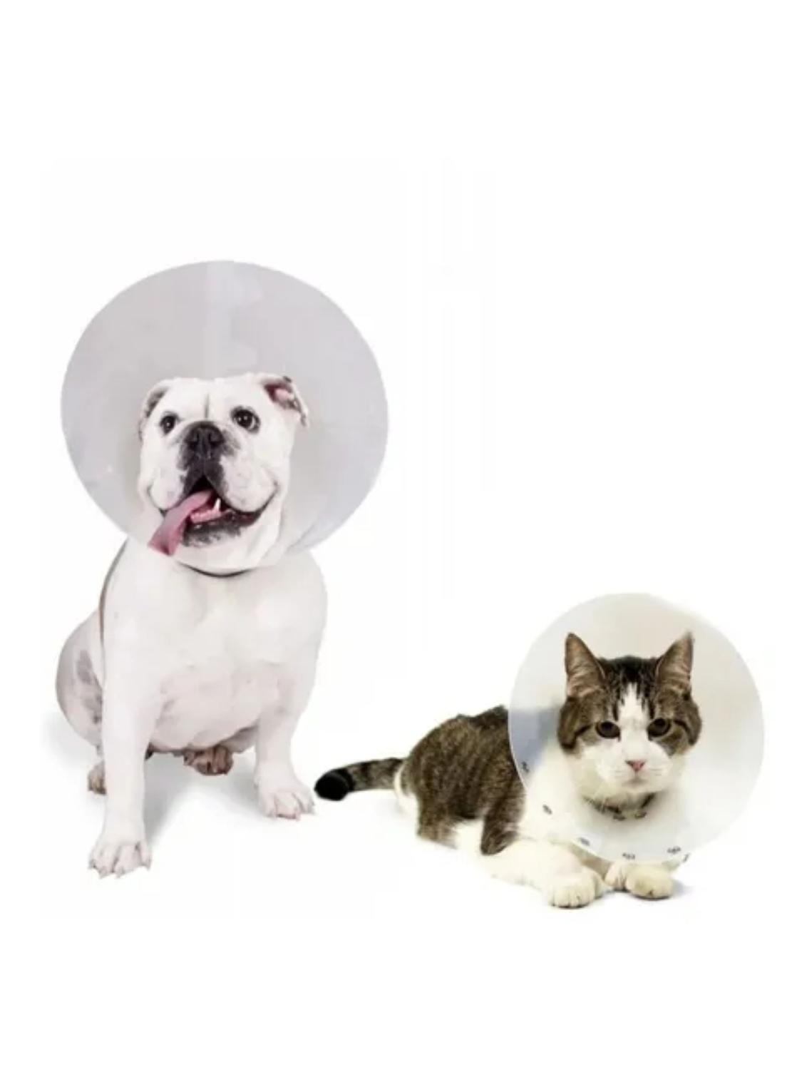 jpg_1500x1500_66853943