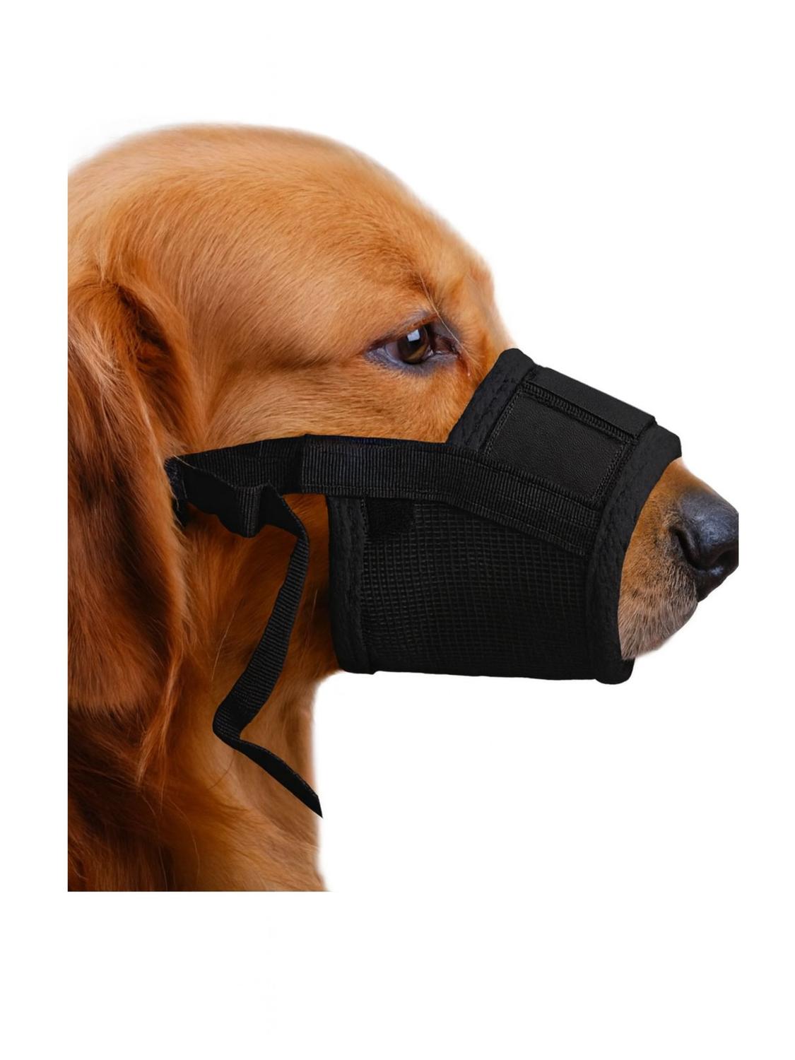 jpg_1500x1500_66903603