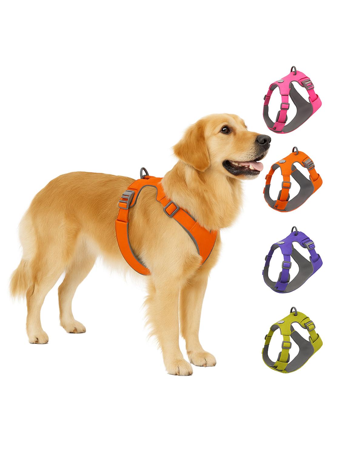 jpg_1500x1500_67367013