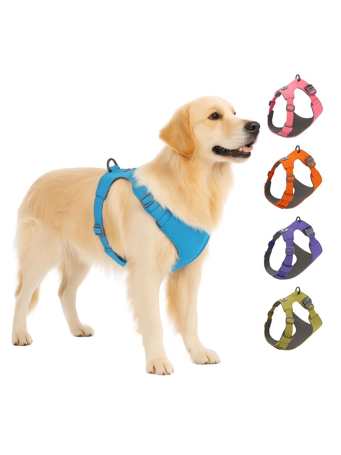 jpg_1500x1500_67367022