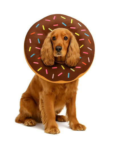 jpg_1500x1500_67717669