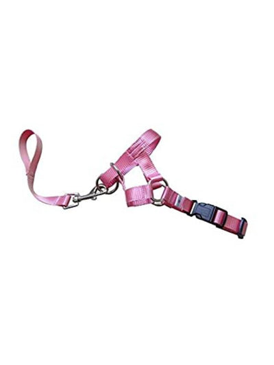 Collar cabestro de adiestramiento para perros - Talla S