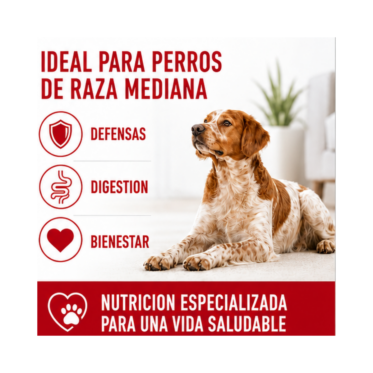 png_1500x1500_72369989