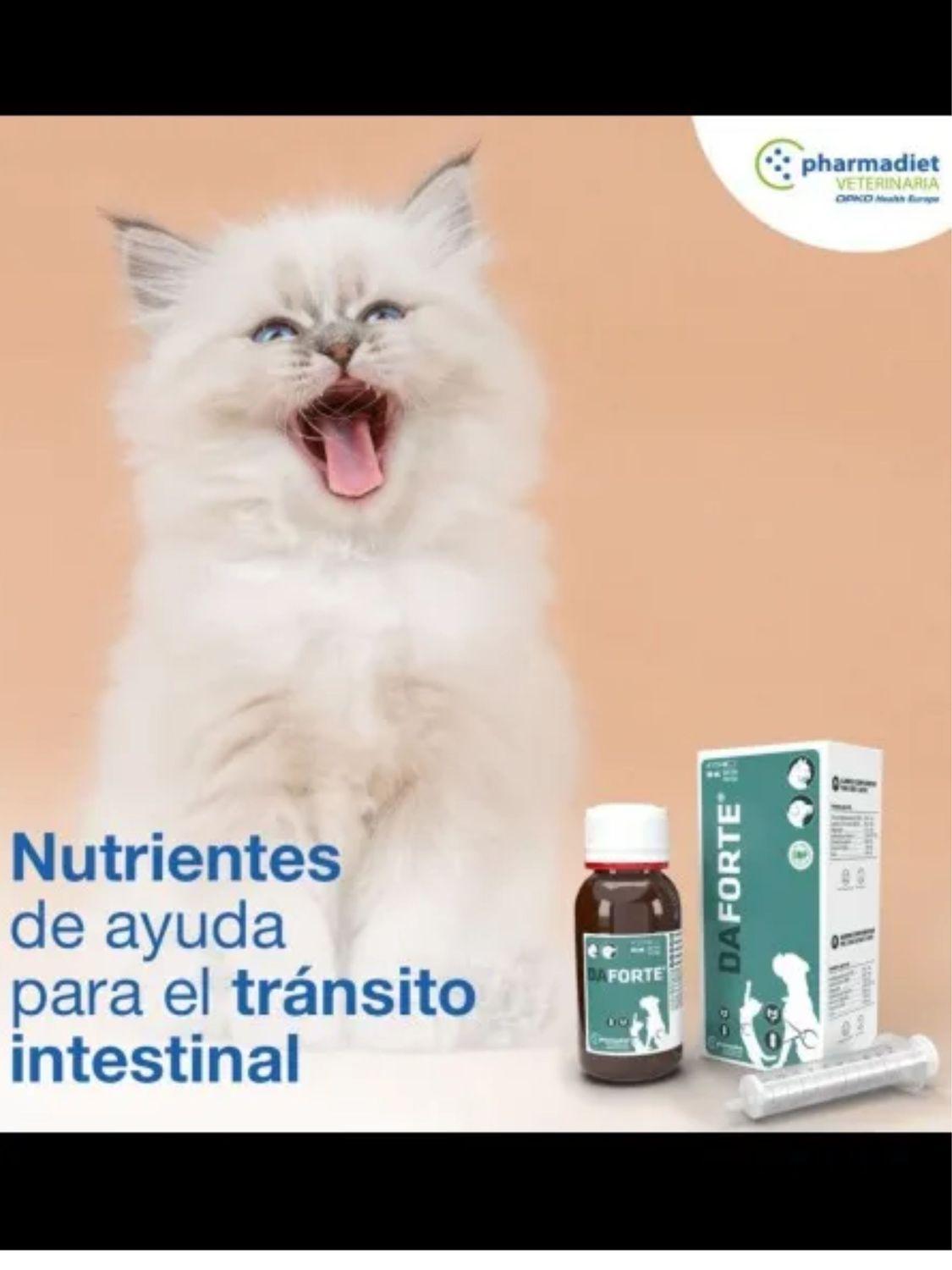 jpg_1500x1500_68793598