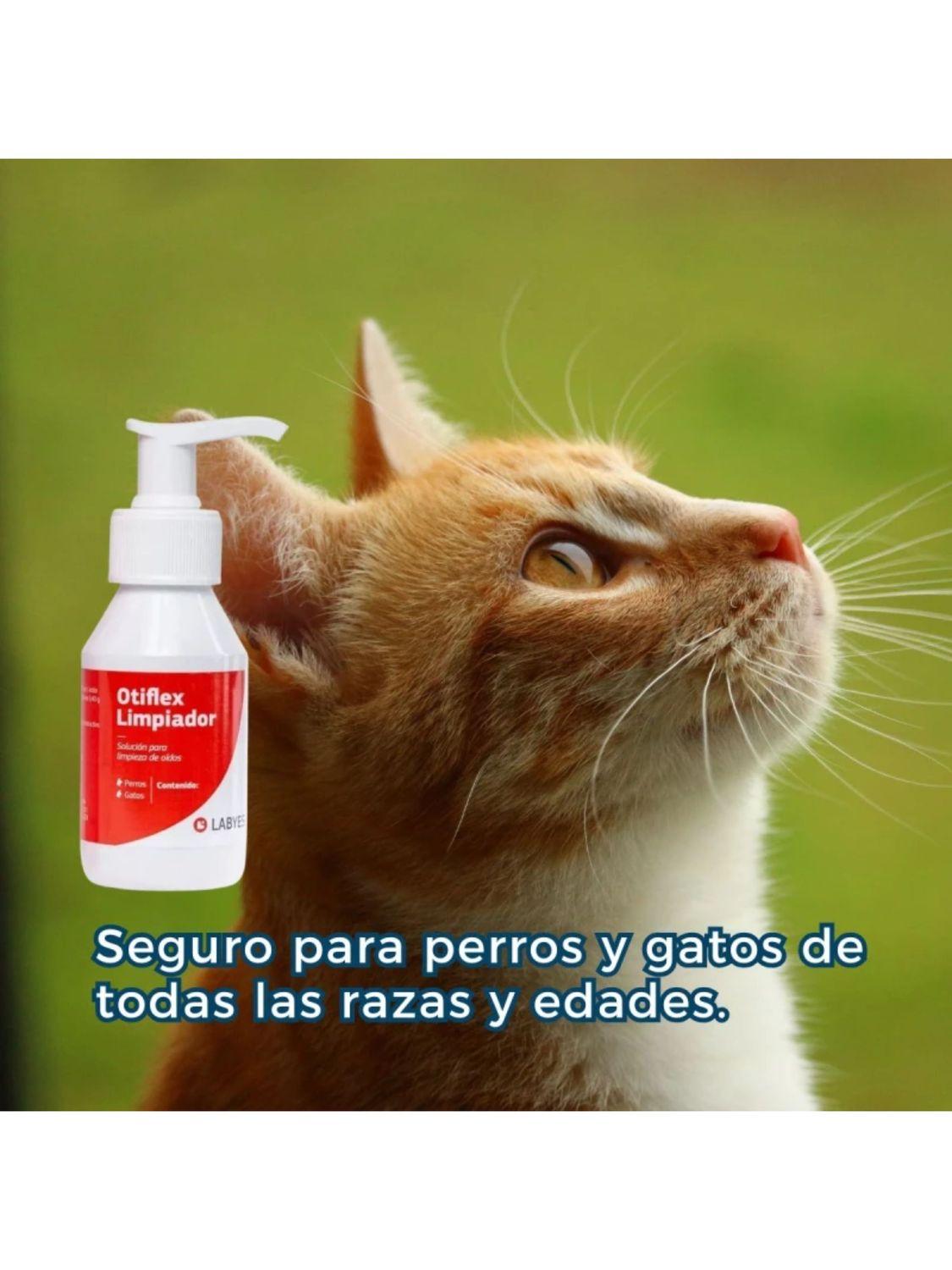 jpg_1500x1500_68815654