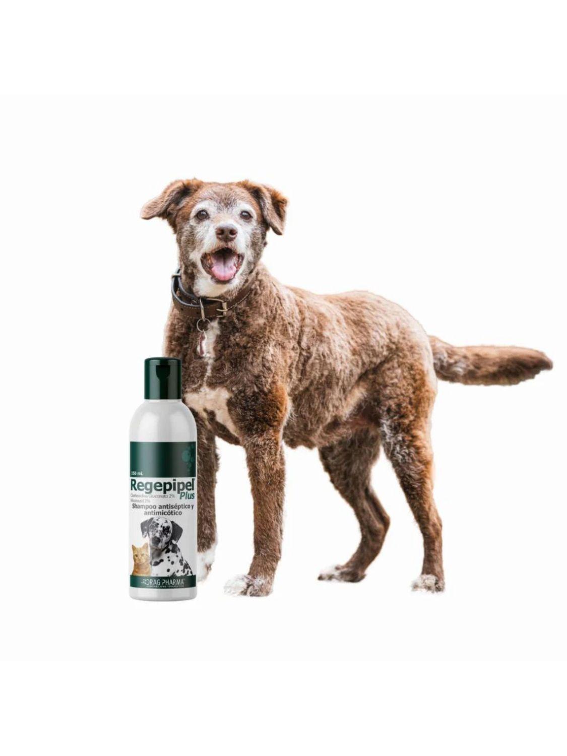 jpg_1500x1500_68732283