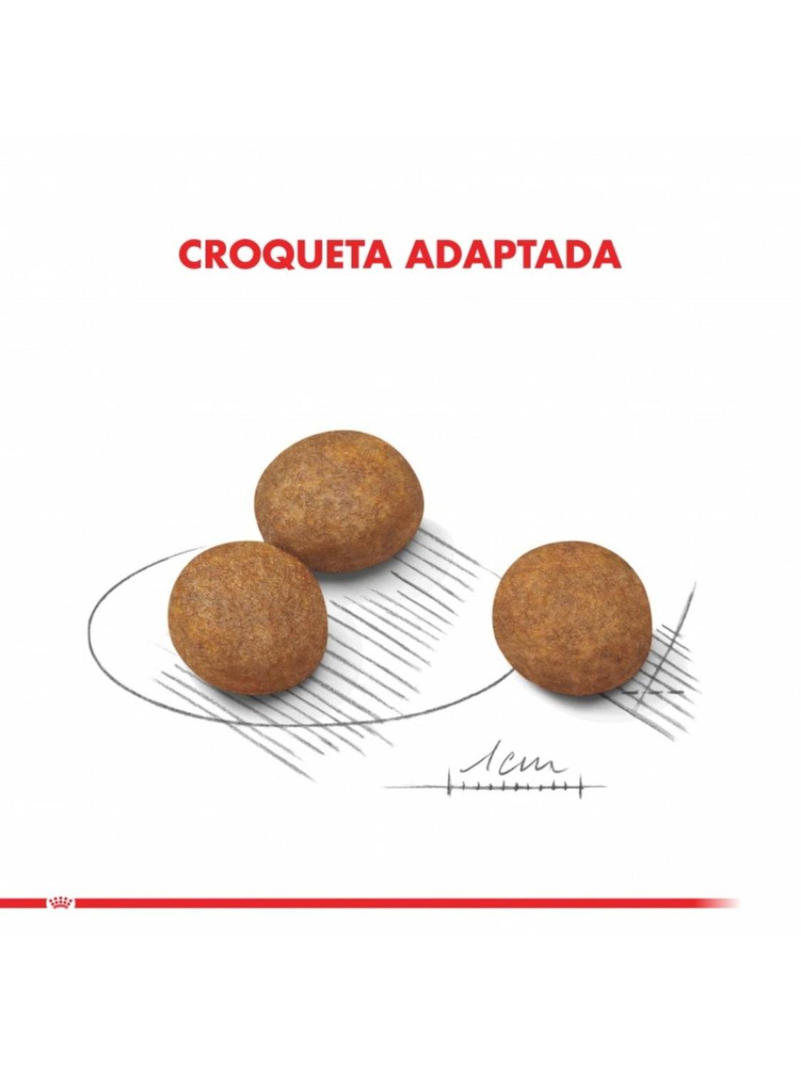 jpg_1500x1500_66941361