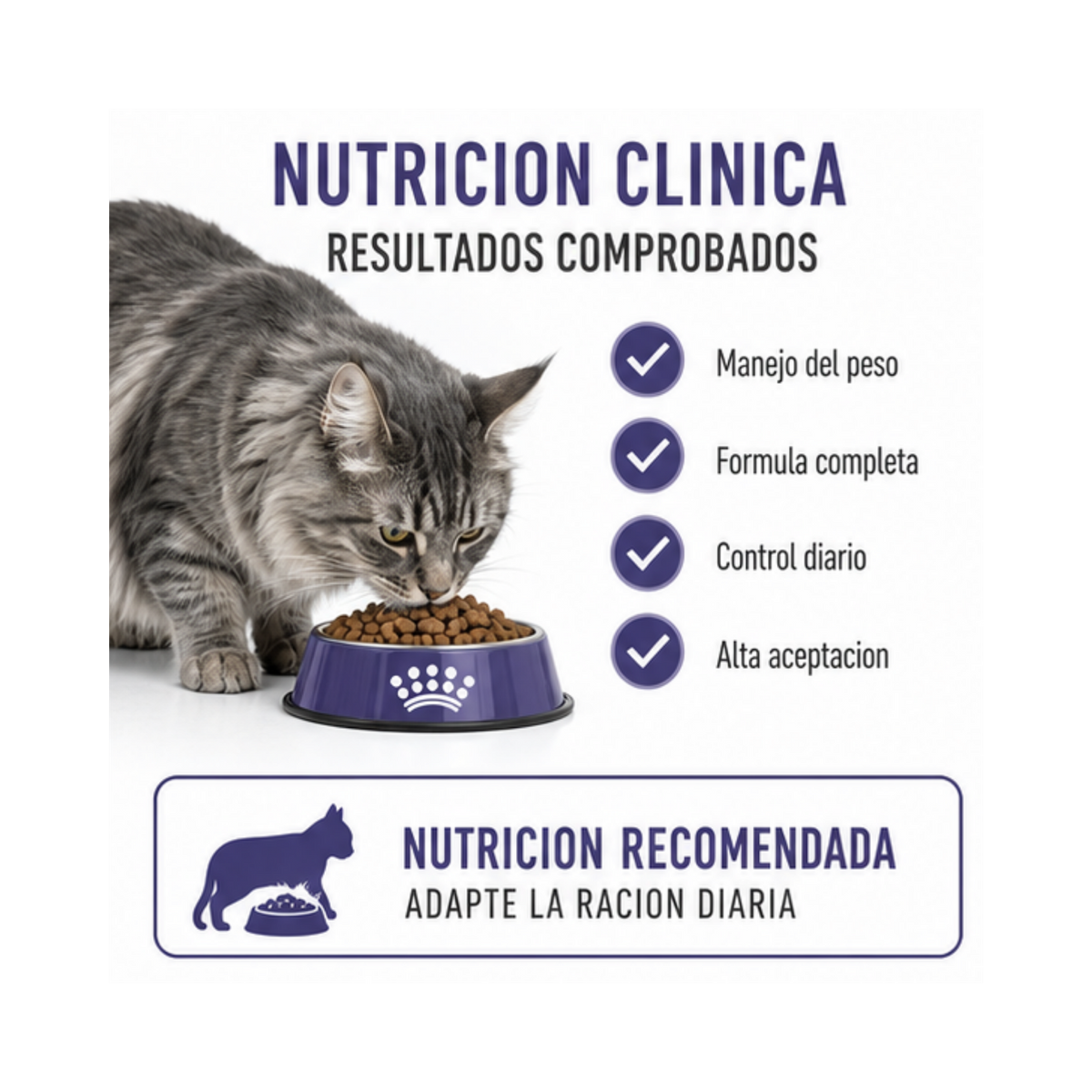 png_1500x1500_72625435