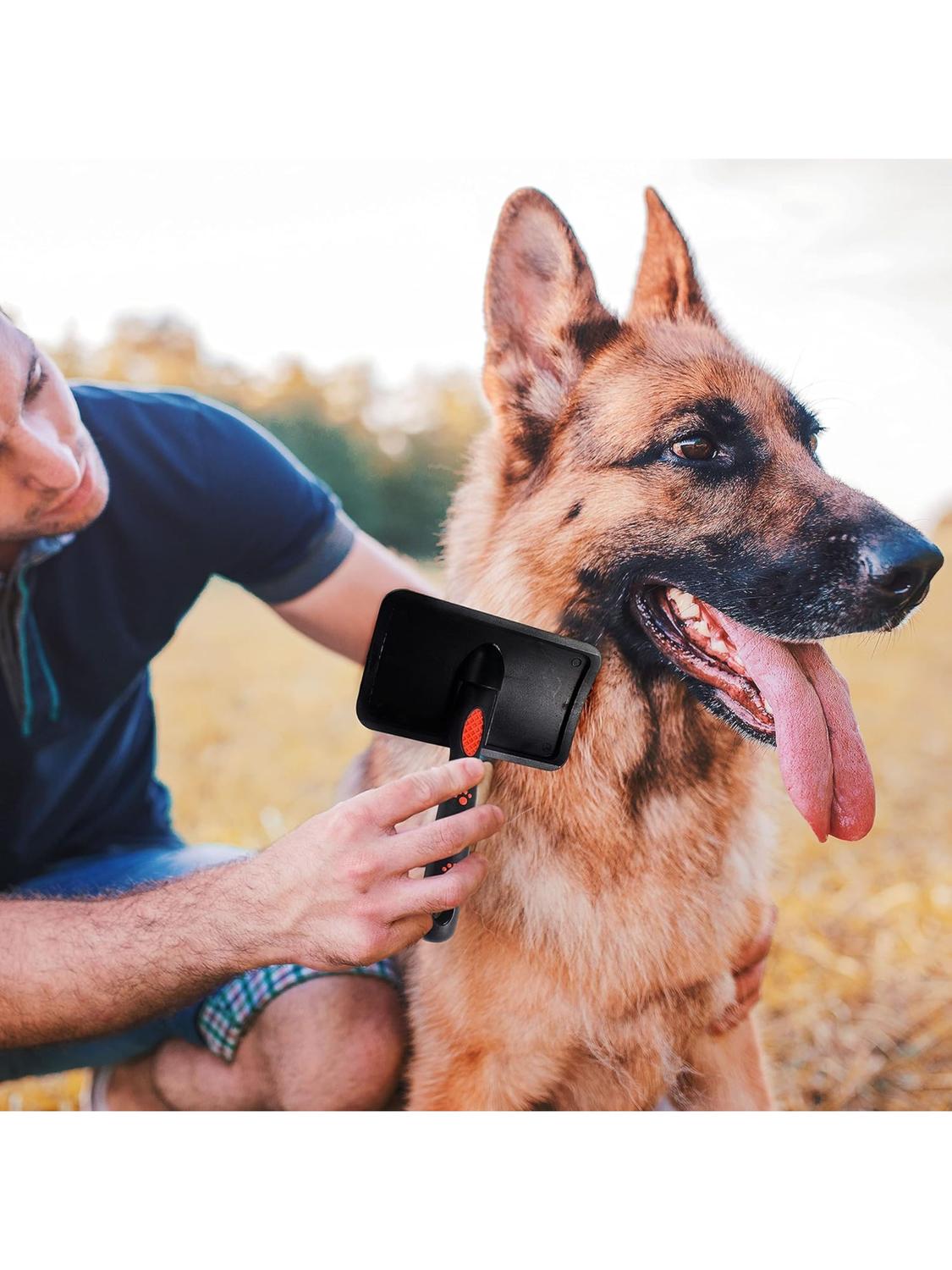 jpg_1500x1500_67182975