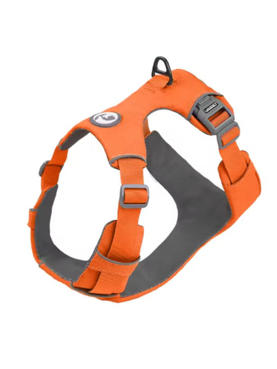 jpg_1500x1500_67366668