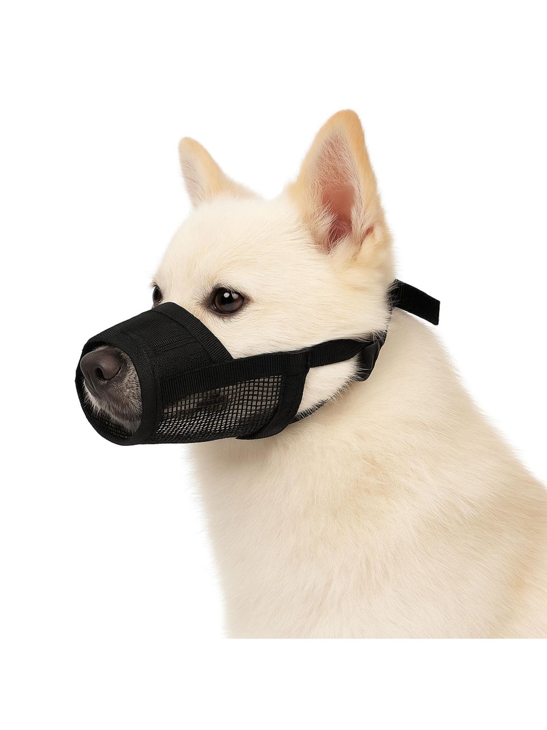 jpg_1500x1500_66903640