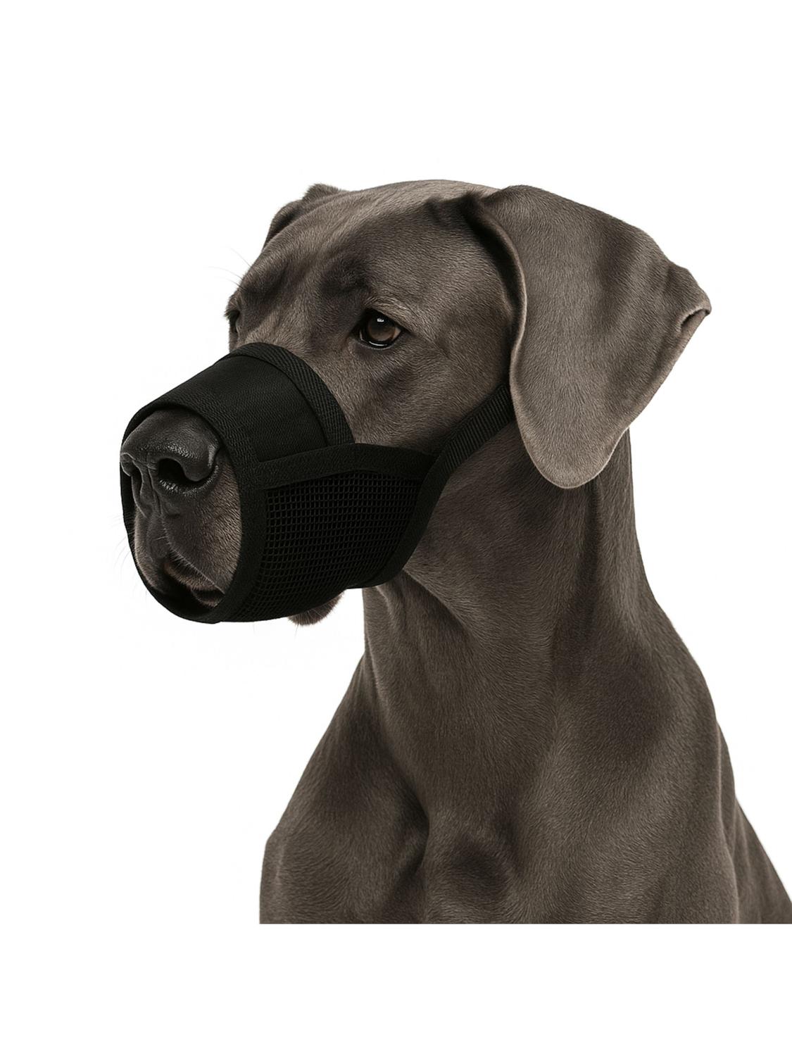 jpg_1500x1500_66903897