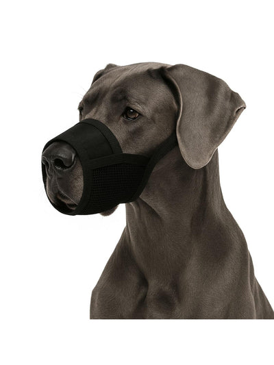 jpg_1500x1500_66903897