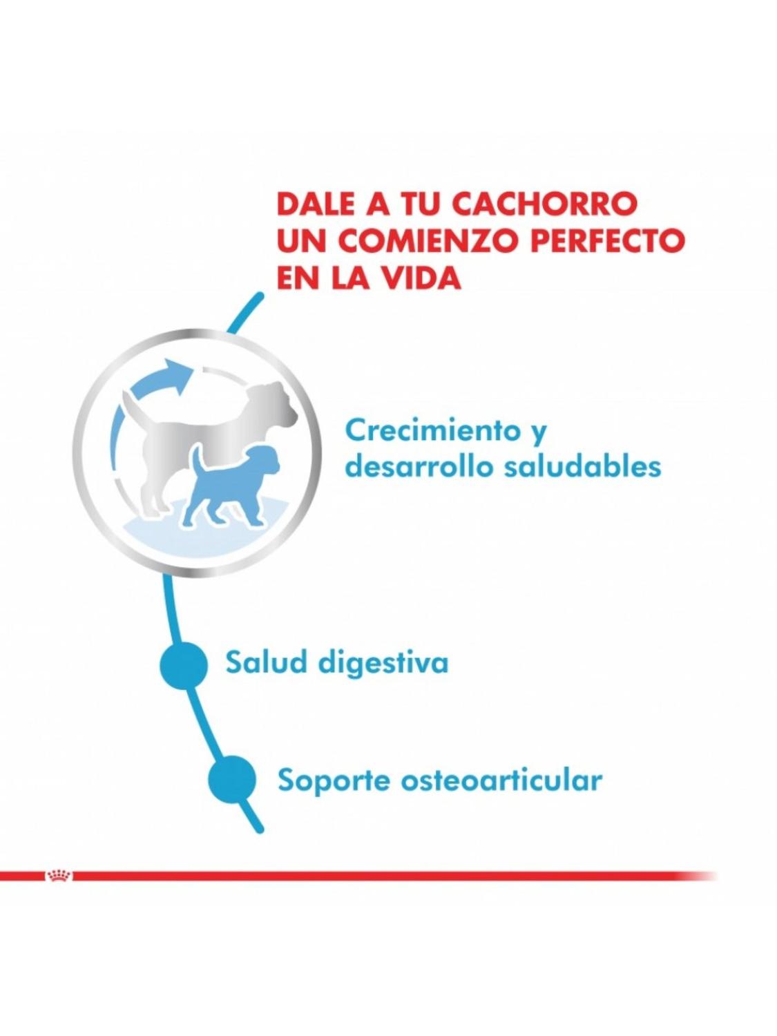 jpg_1500x1500_66941362