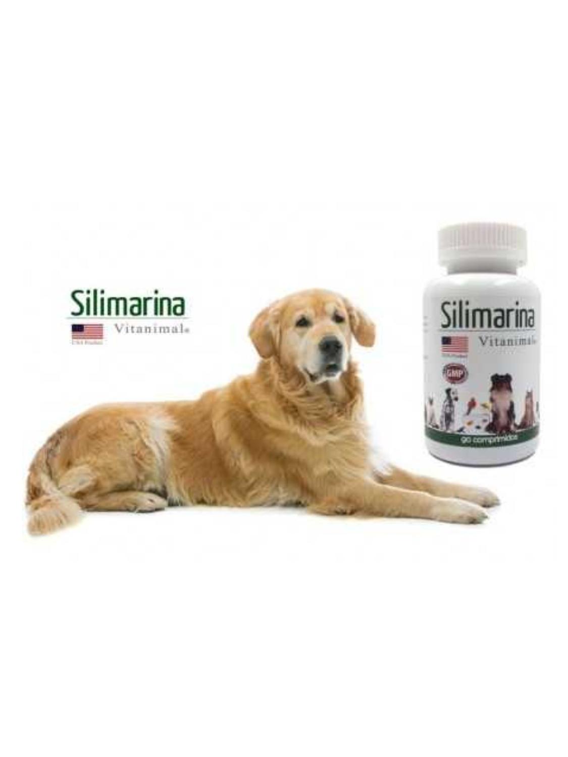 jpg_1500x1500_67022793