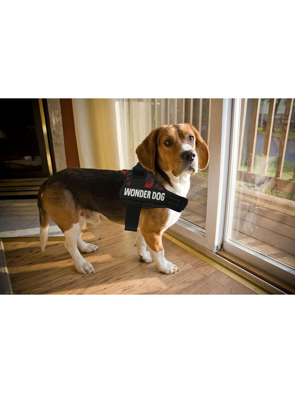 jpg_1500x1500_67354675