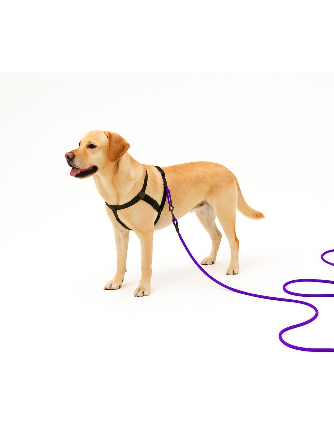 jpg_1500x1500_67182732