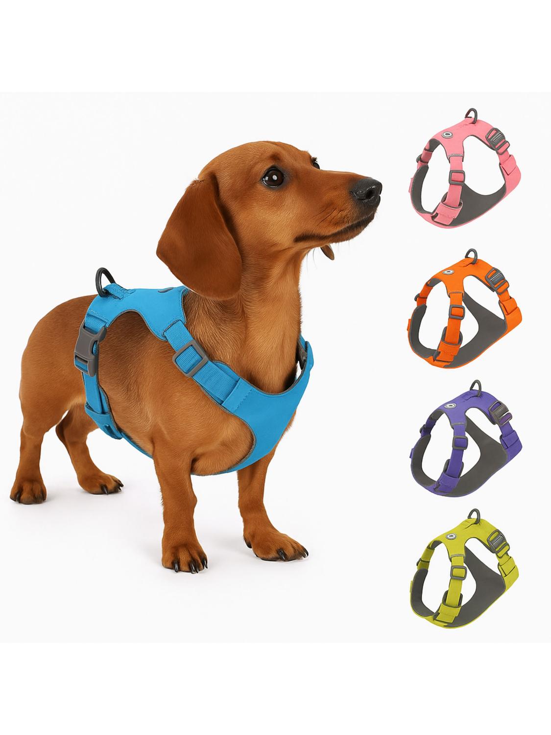 jpg_1500x1500_67366542