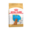png_1500x1500_71277748