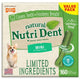 Cepillo Dental Comestible Sabor Menta Para Perro - 160 Unids.