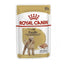 Alimento Royal Canin Caniche Adulto - Sobre de 85 g