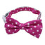 Collar Con Corbatin Humita Para Mascotas Talla M